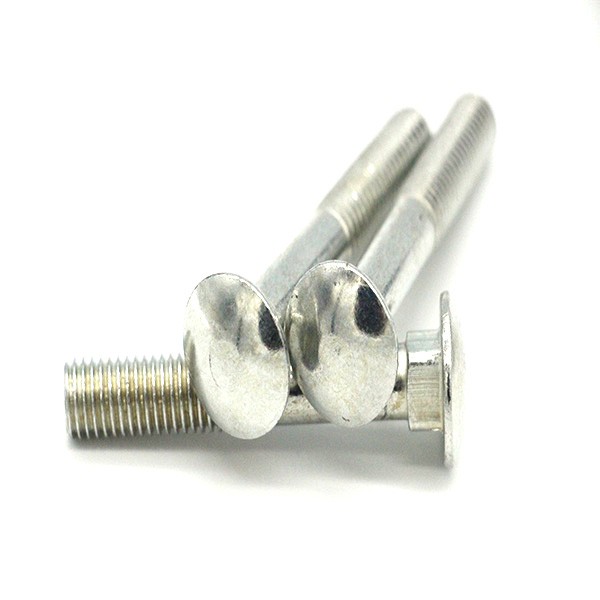 cup head square neck bolts 