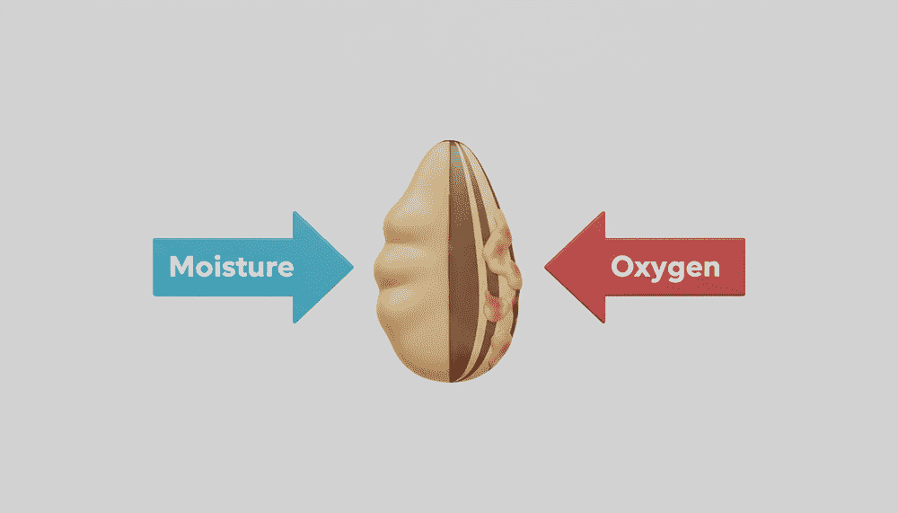 nuts packing machine