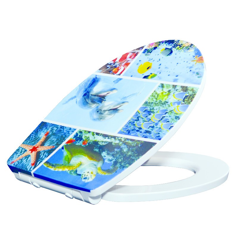 square toilet seat