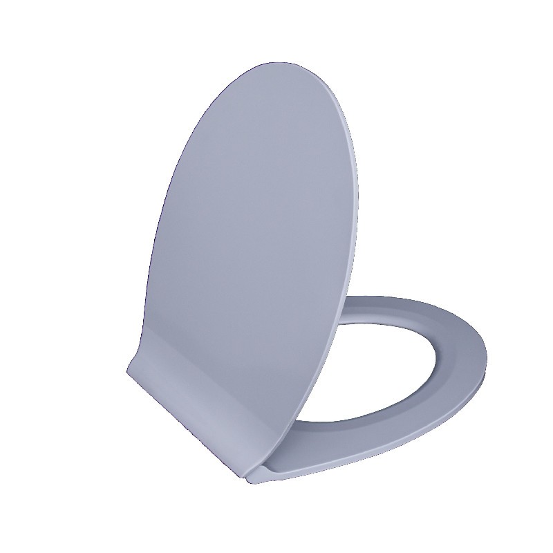 toilet seat
