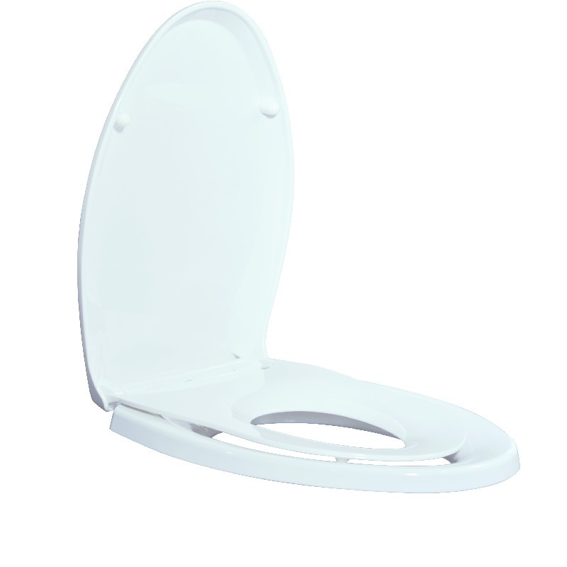 toilet seat