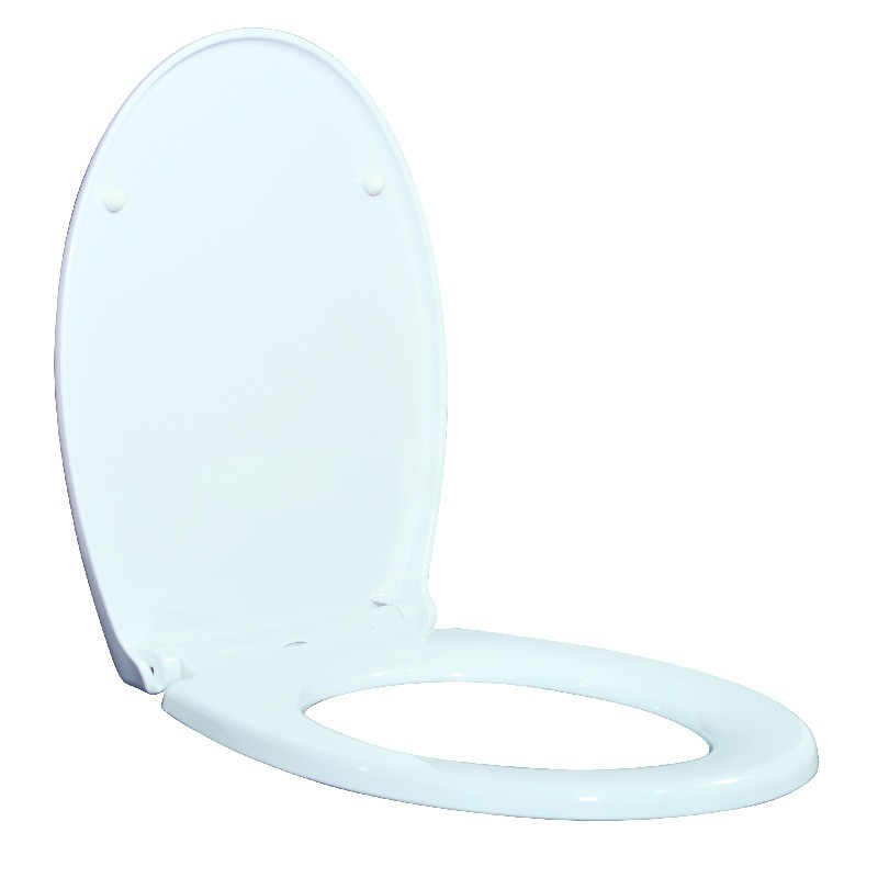 toilet seat