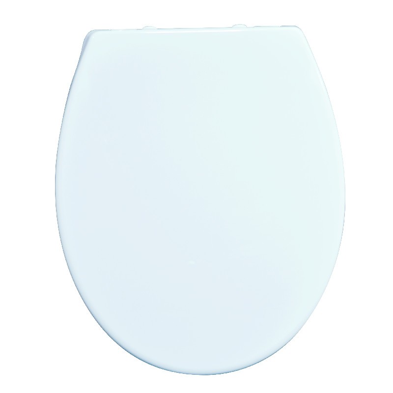 plastic toilet lid