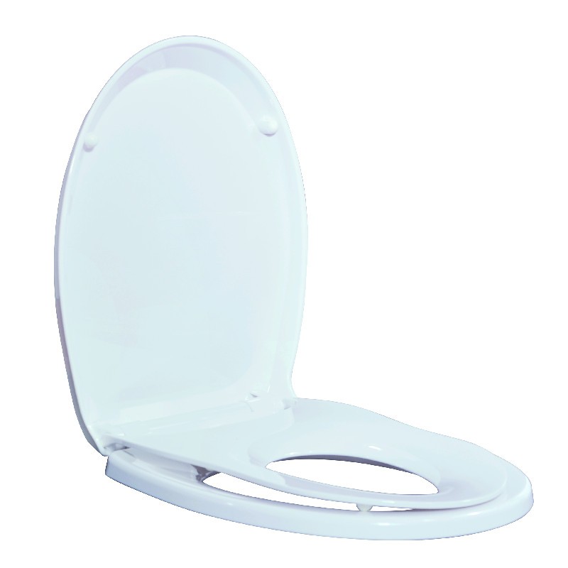 round toilet seat