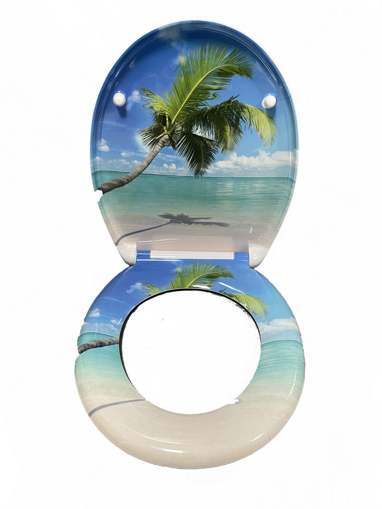 toilet lid