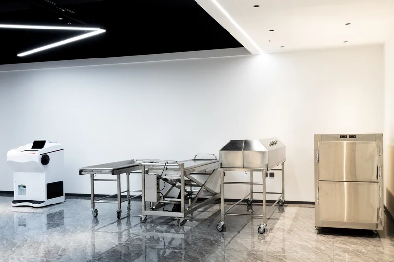 Roundfin open-plan office and collaborative workspace