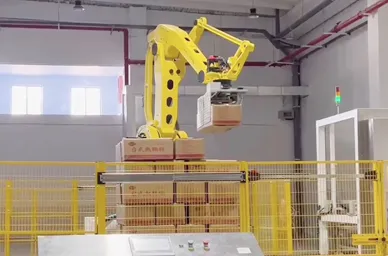 Meat Auto-palletizin packing Machines