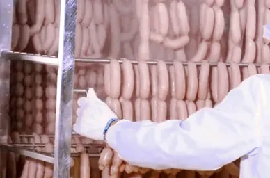 Meat Sausage Smoking & Cooking Machines