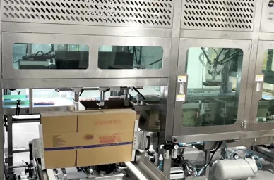 Meat Auto-Boxing packing Machines
