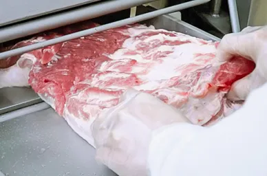 Meat Cutting Machines