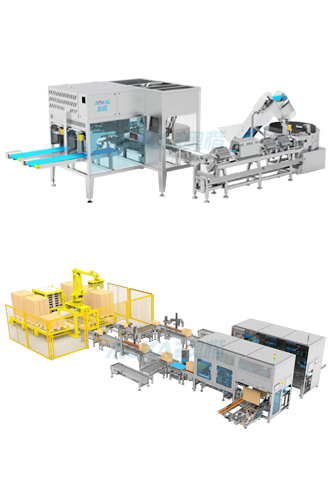 2019 Packaging & Palletizing Lines Addition
