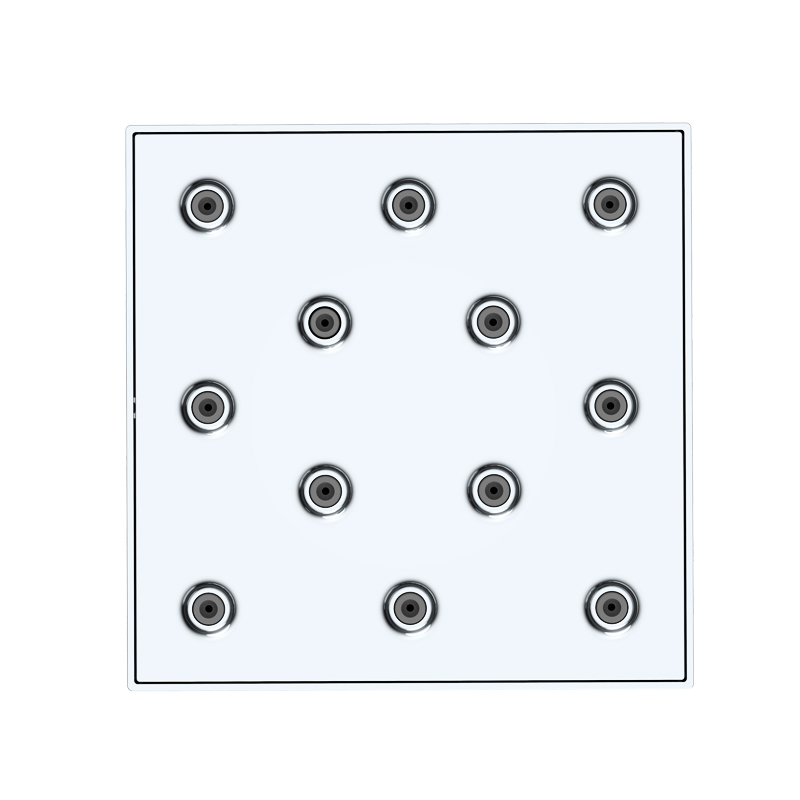 shower head