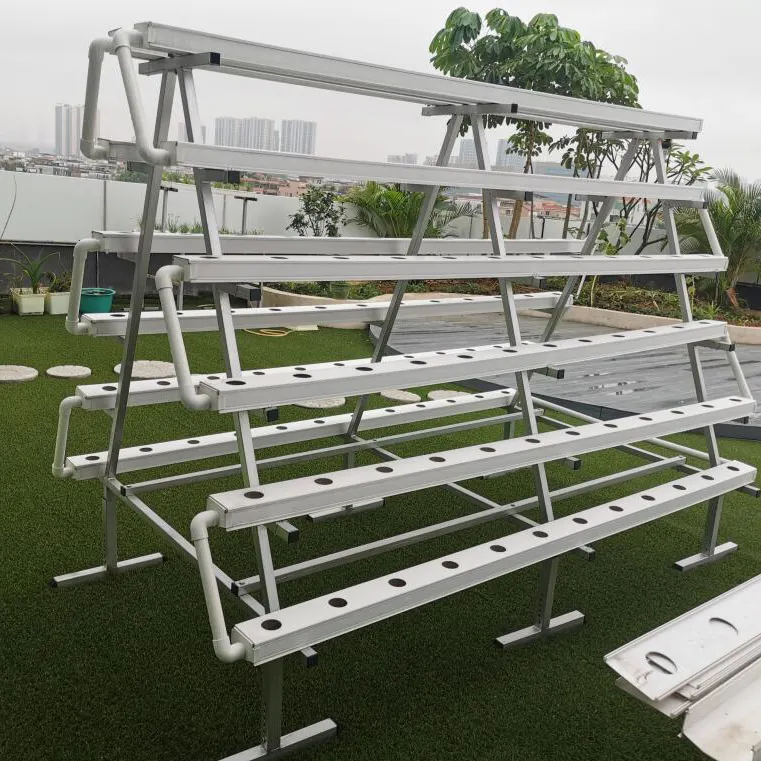 hydroponic system