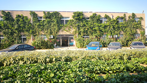 Dezhou Jiahe Wood Industry office and factory building