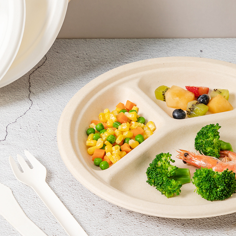 bagasse food container bagasse food container