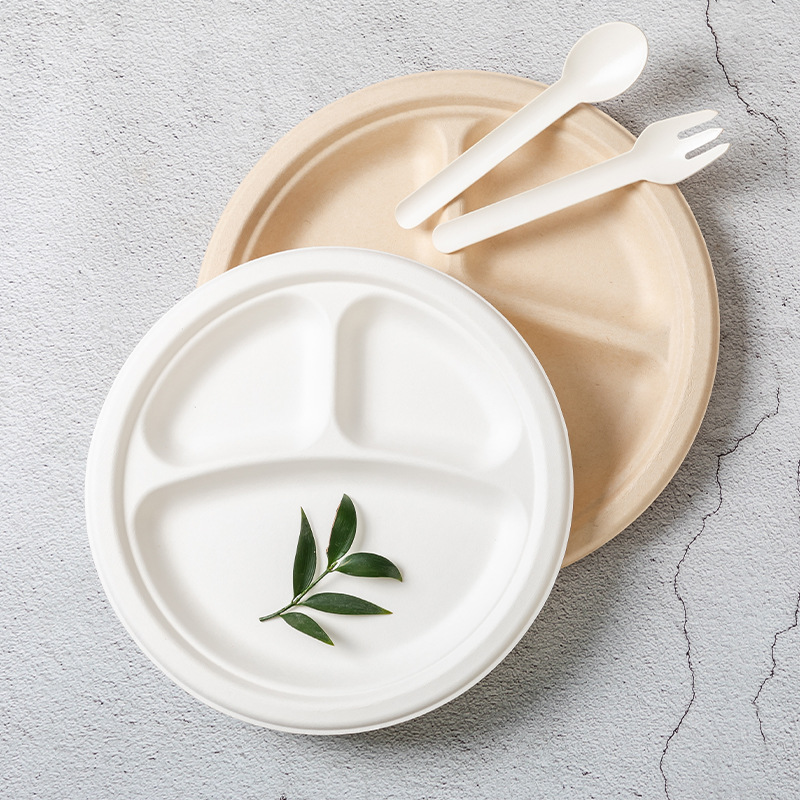 bagasse packaging bagasse packaging