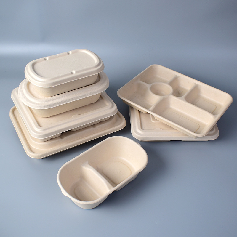 sugarcane food packaging sugarcane food packaging