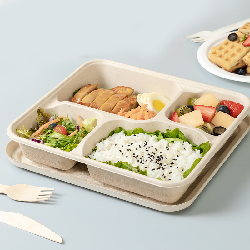 bagasse takeaway boxes