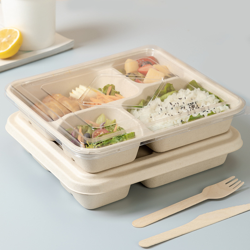 sugarcane food container sugarcane food container