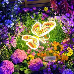 butterfly decorative lights