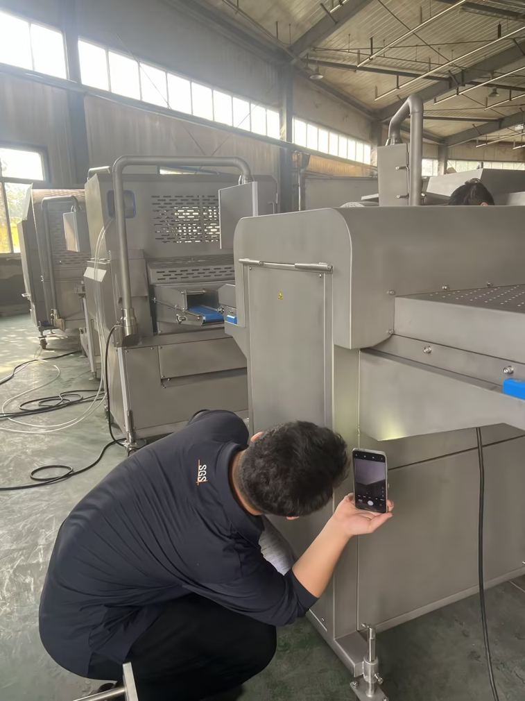 SGS inspection