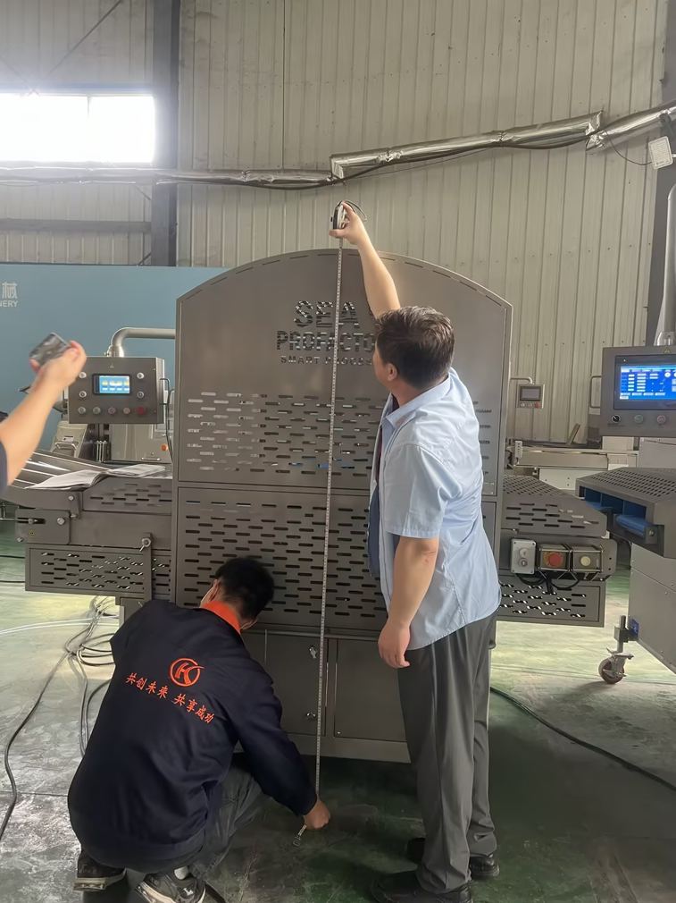 SGS inspection
