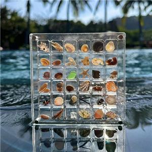 acrylic shell storage box
