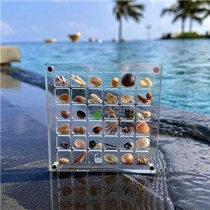 square transparent display case