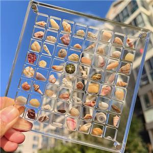 mini specimen organizer