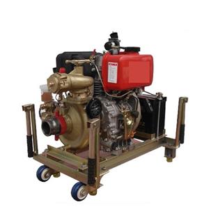 diesel engine water pump