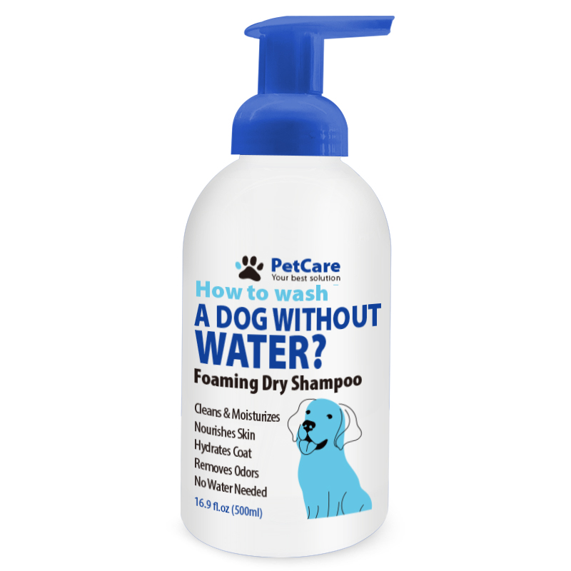 dog spray dog spray