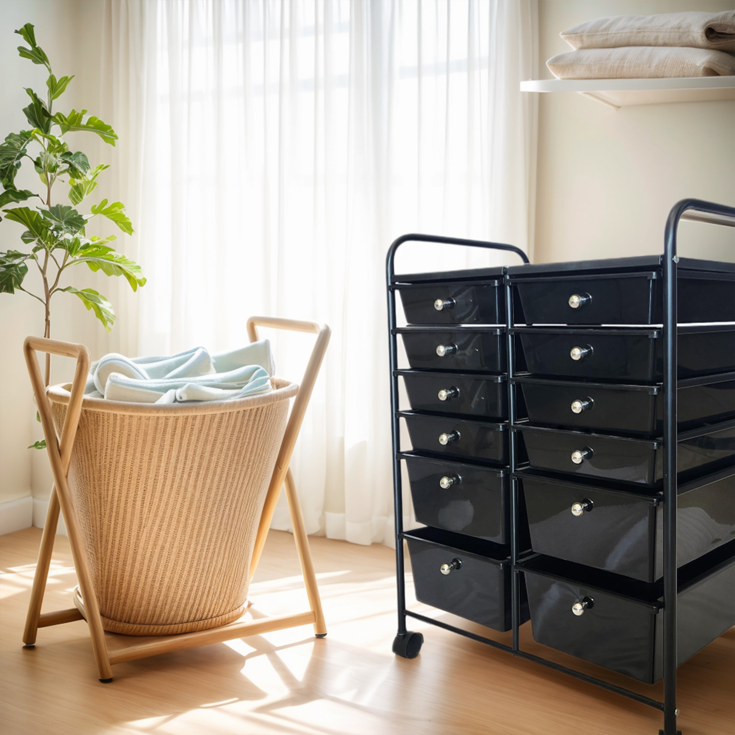 Organizer with Lockable Wheels