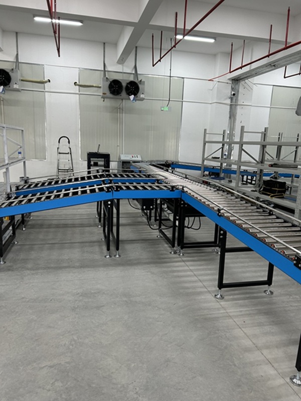fixed roller conveyor