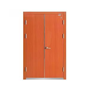Custom Steel Fire Door