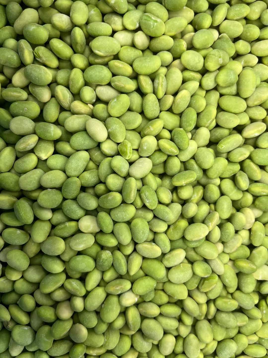 IQF Frozen edamame manufacturer